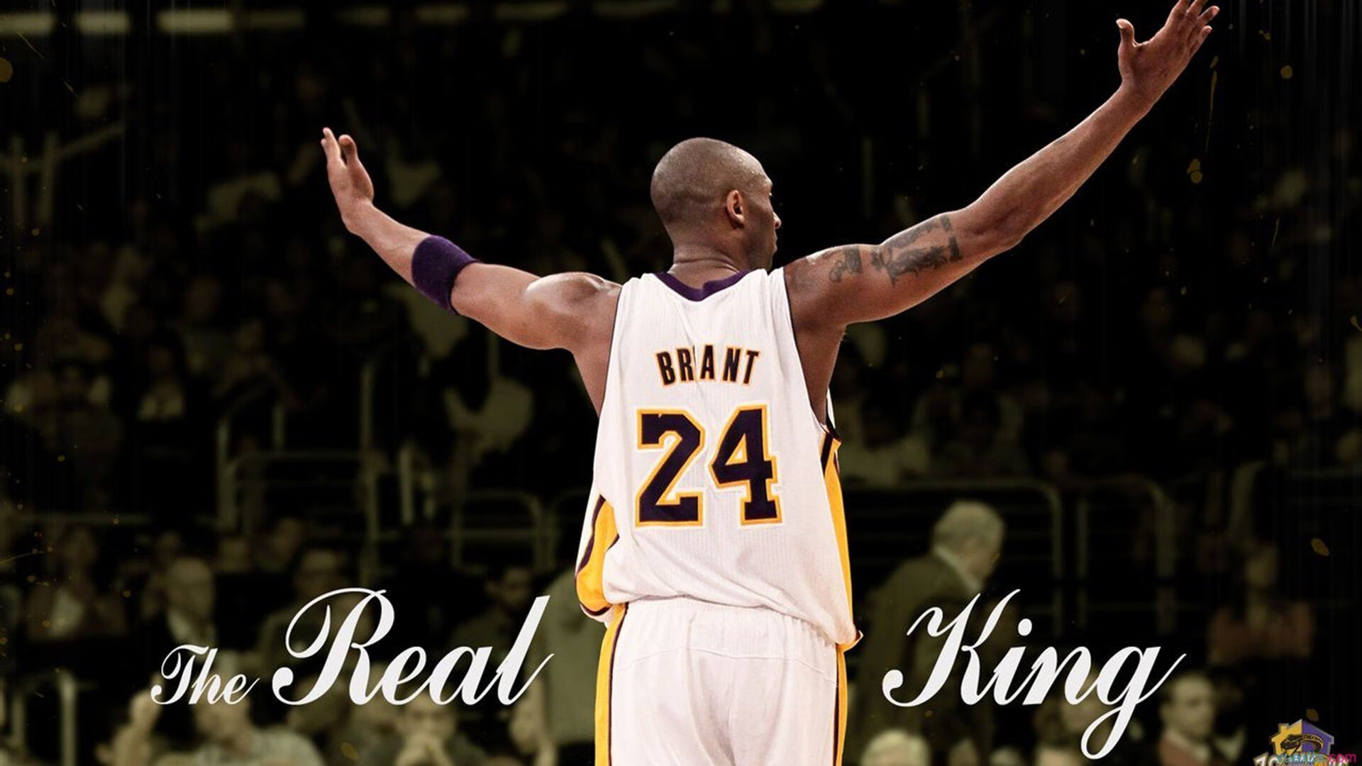 Genshin Impact电竞夏季赛正式启动，丰富奖励等你拿，impact challenge